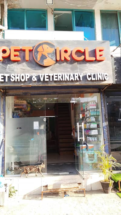 pet groomer and helper at pet clinic