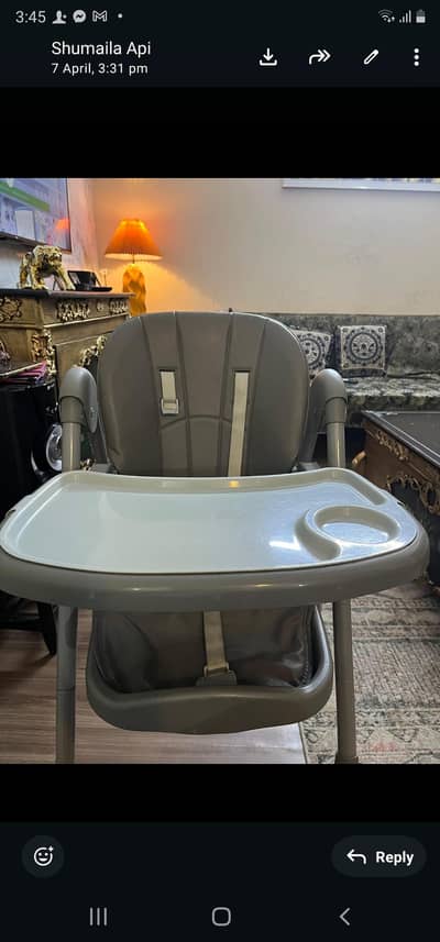 dining chair and walker