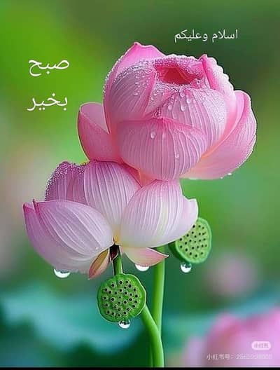 Samsung Galaxy z fild 3 12/256  GB dual sim life PTA approved