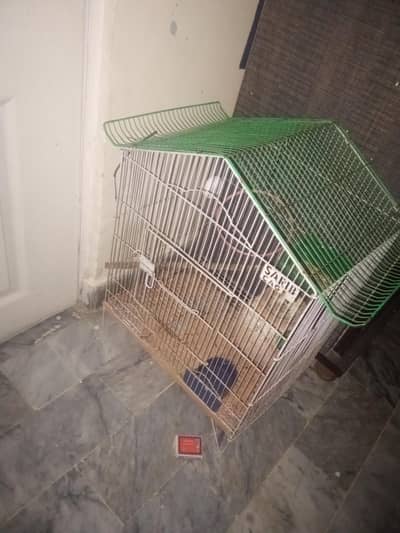 pinjra condition okay