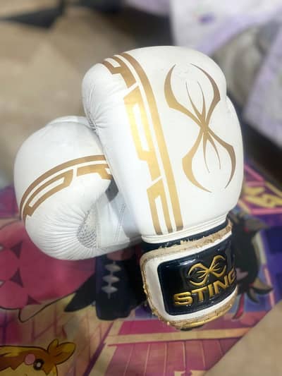 Original Sting Boxing Gloves, 8/10 condition hai.