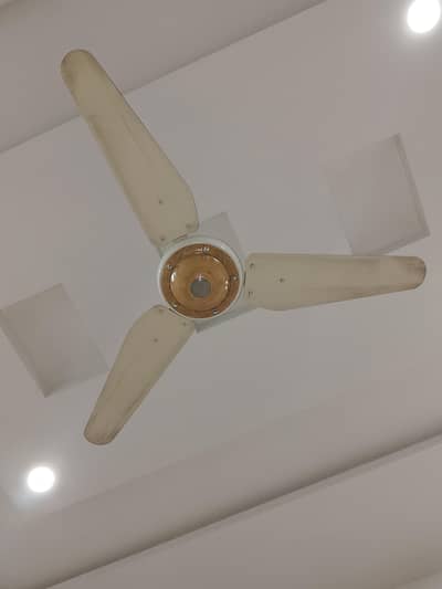 celling fancy fan 3 blades