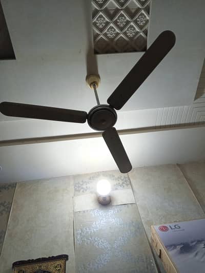ceiling fan pure copper winde