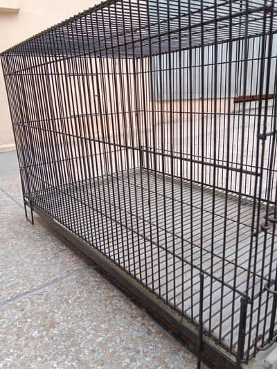 2.5*1.5*1.5 cage size .   03330031118 watsap number