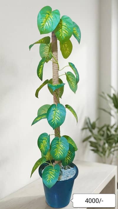 Artificial Plant for Sale – Beautiful Home Décor