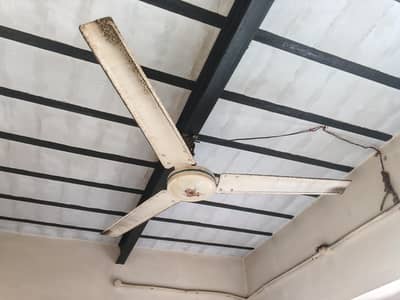 4 DC ceilling Fans urgent for sale  ek fan ki price 4500 hai .  0