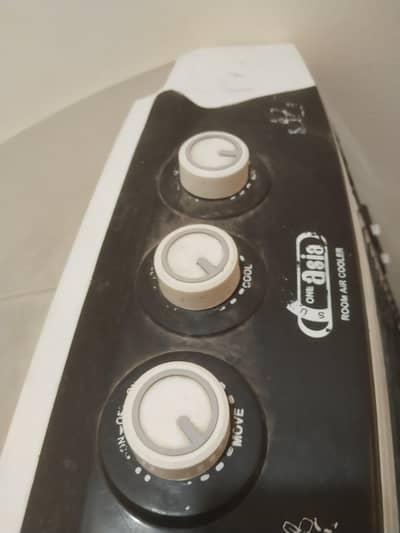 collar in good condition