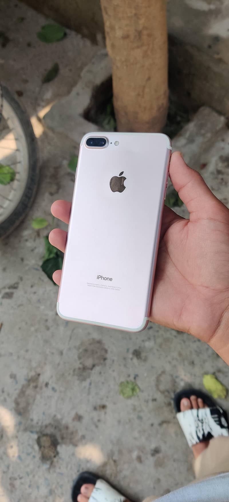 iphone 7 plus 6