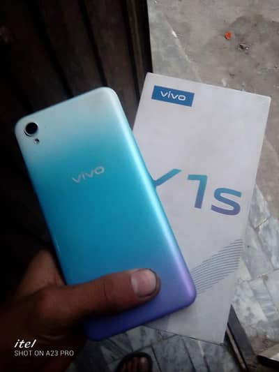 vivo y1s