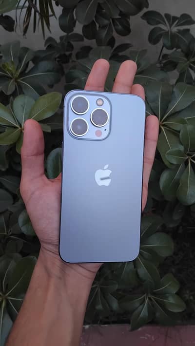 iPhone 13 Pro Bypass