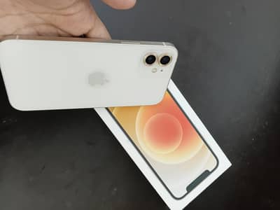iPhone 12 with box and original charger