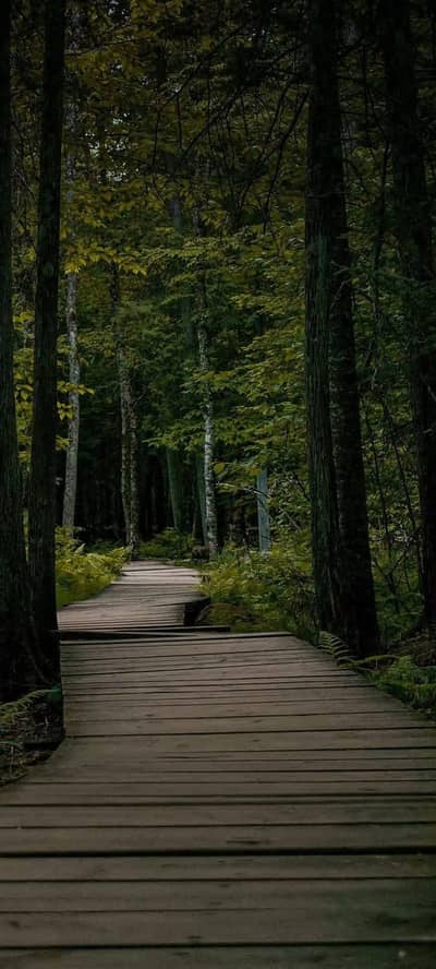 fectey office work near wapta town Gujranwala