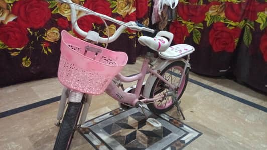 girl pink china cycle