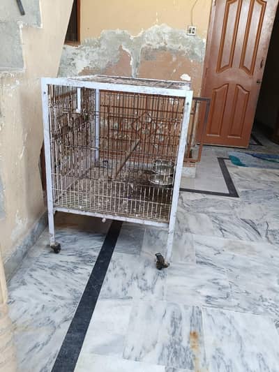 big cage and stand