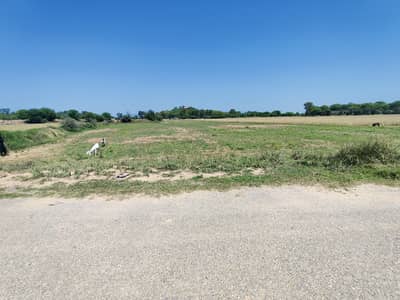 30 kanal vip agriculture plus residential Land near to man chakri interchange