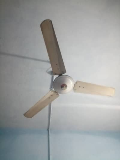 celling fan 6