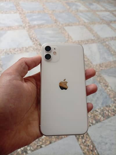 Iphone 11 White color 10/10 condition