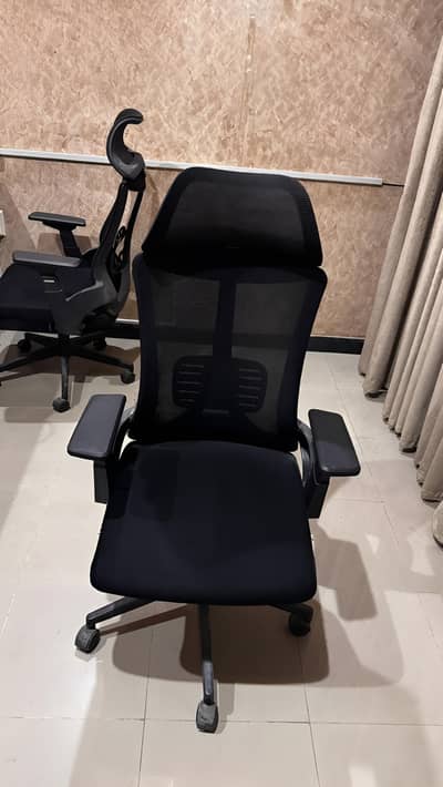 Clean slightly used office chairs