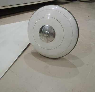 Two royal ceiling fan