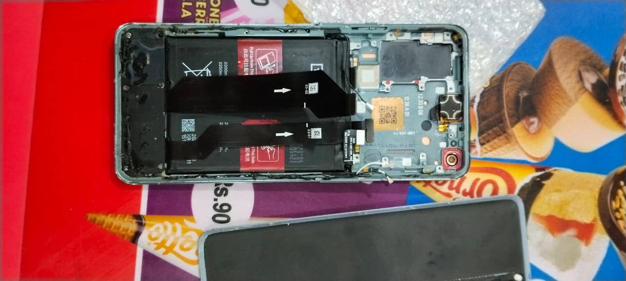 one plus 9 pro panel 1