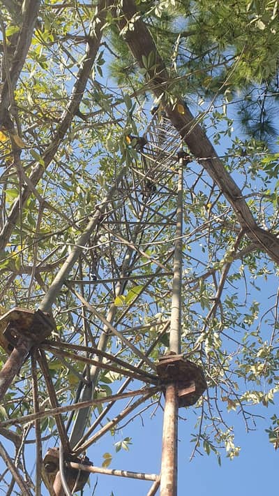 Radio antenna 80- feet for sale - Demand 100k only