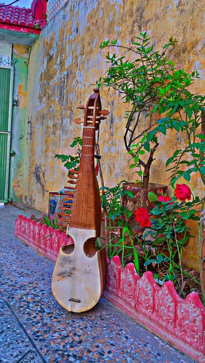 rabab