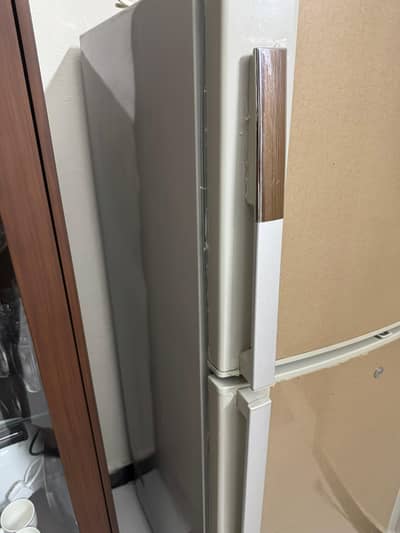 medium size dDawlnce fridge