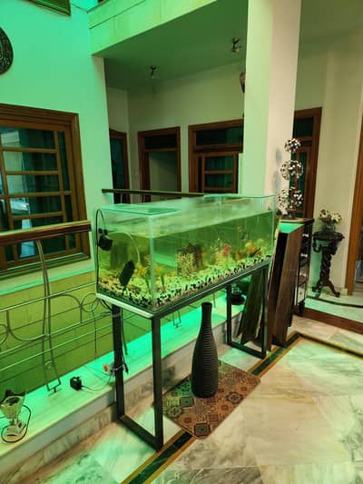 aquarium with fishes