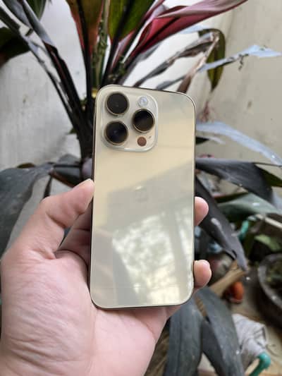 Iphone 14pro 256gb pta