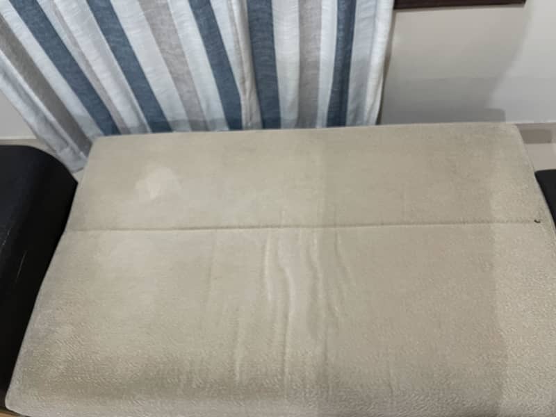 Sofa cum bed 3