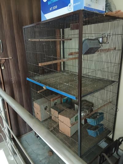 bird cage for sale