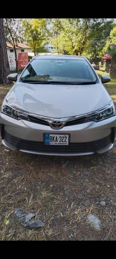 bumper to bumper gli