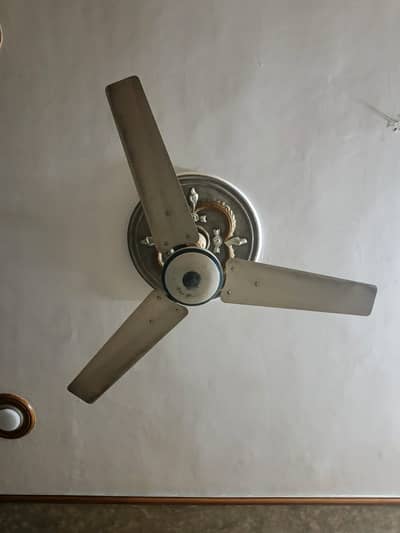 Ceiling Fans for Sale