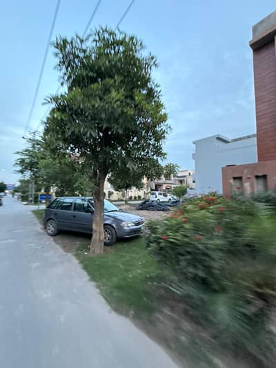 10 MARLA CORNER PLOT ALL PAID WITH LOCATION BETWEEN HOUSES