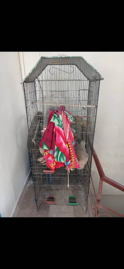 Cage For sale in Panjab colony