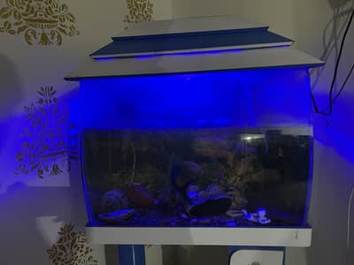 Aquarium FOR SALE