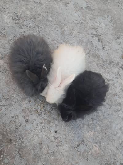 lsamabad Marwa town C D  . 2