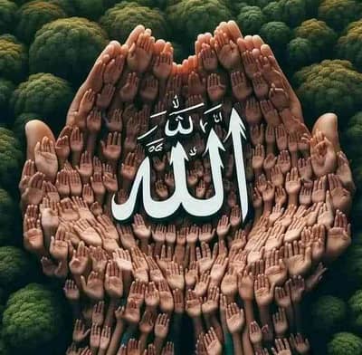 Muhammad Shoaib 