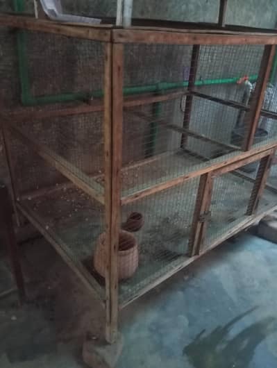 Hens cage