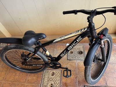 Chinese bicycle for sell