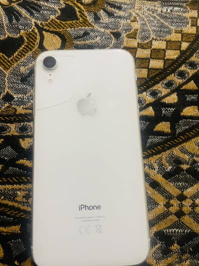 XR 256GP PTA BTRY74 back berck