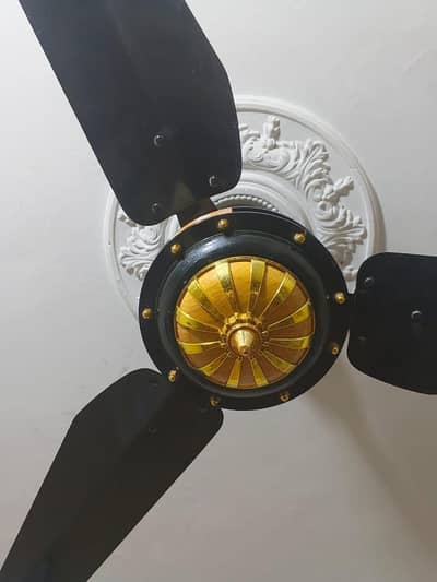 Used AC/ Ceiling Fan for Sale – Excellent Condition (10/10)