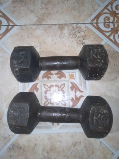 Iron Dumbbells 10kg pair