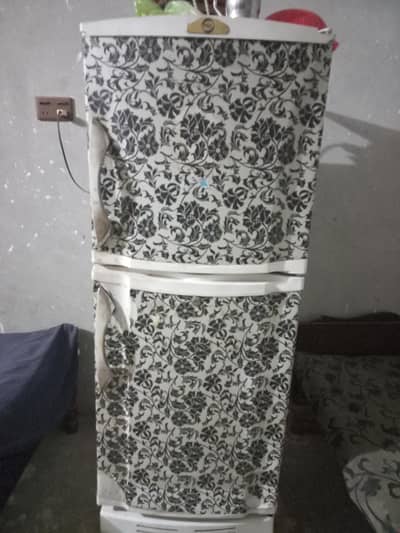 Pel Mediam Fridge  For sale