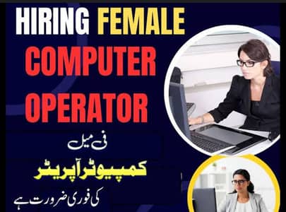 Female Computer Job