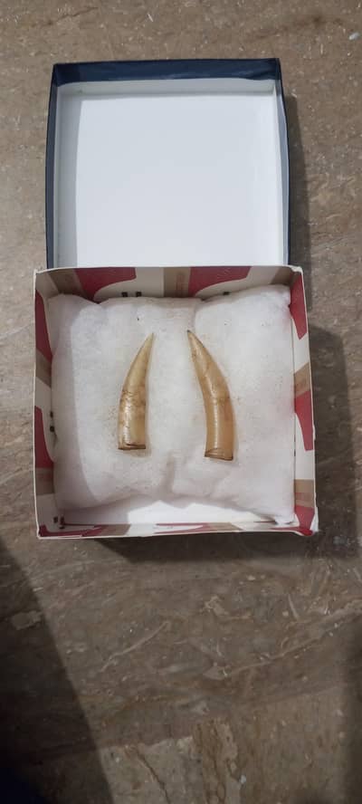 aseel kante mazboot kante hn showqeen Bhai rabta kren