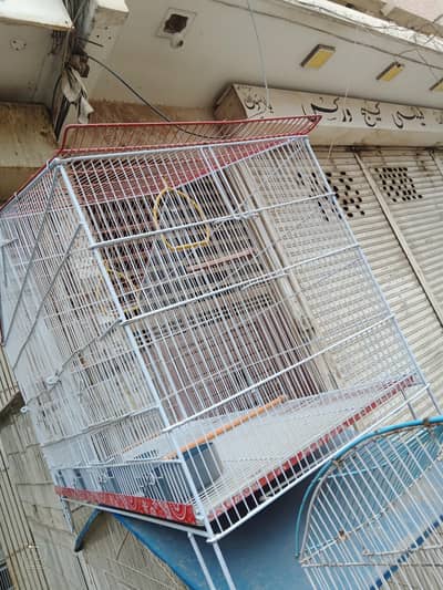 Colony Cage For Sale