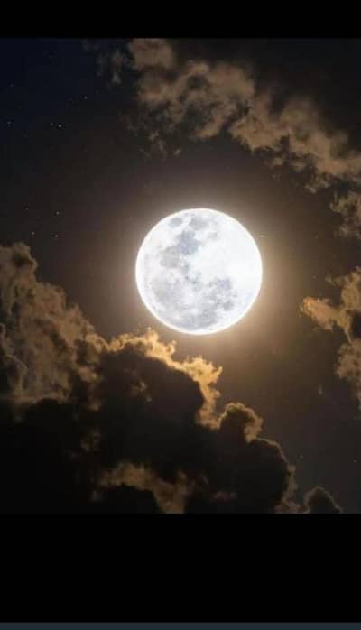 Need a Female Maid for Home