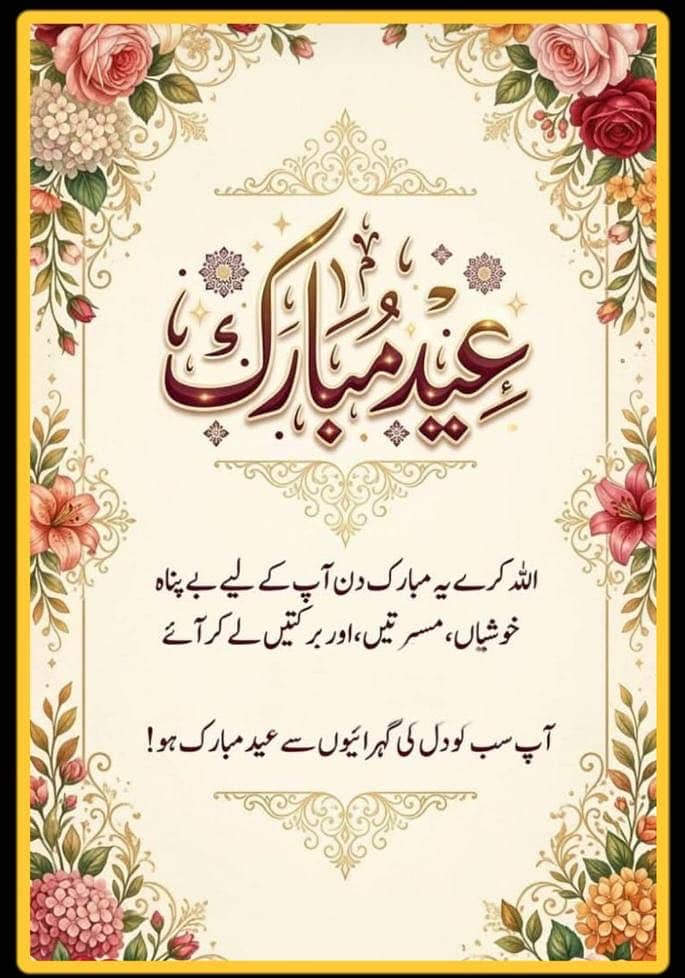 Aimen Collection 0