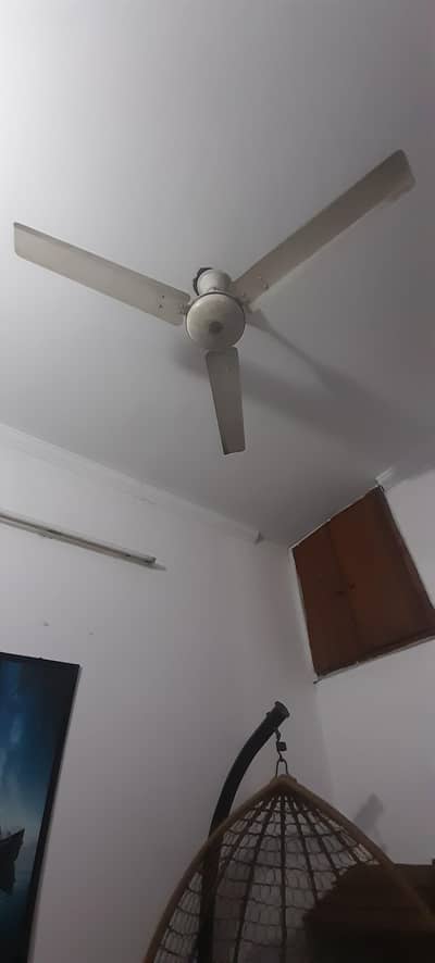 Fan for sale